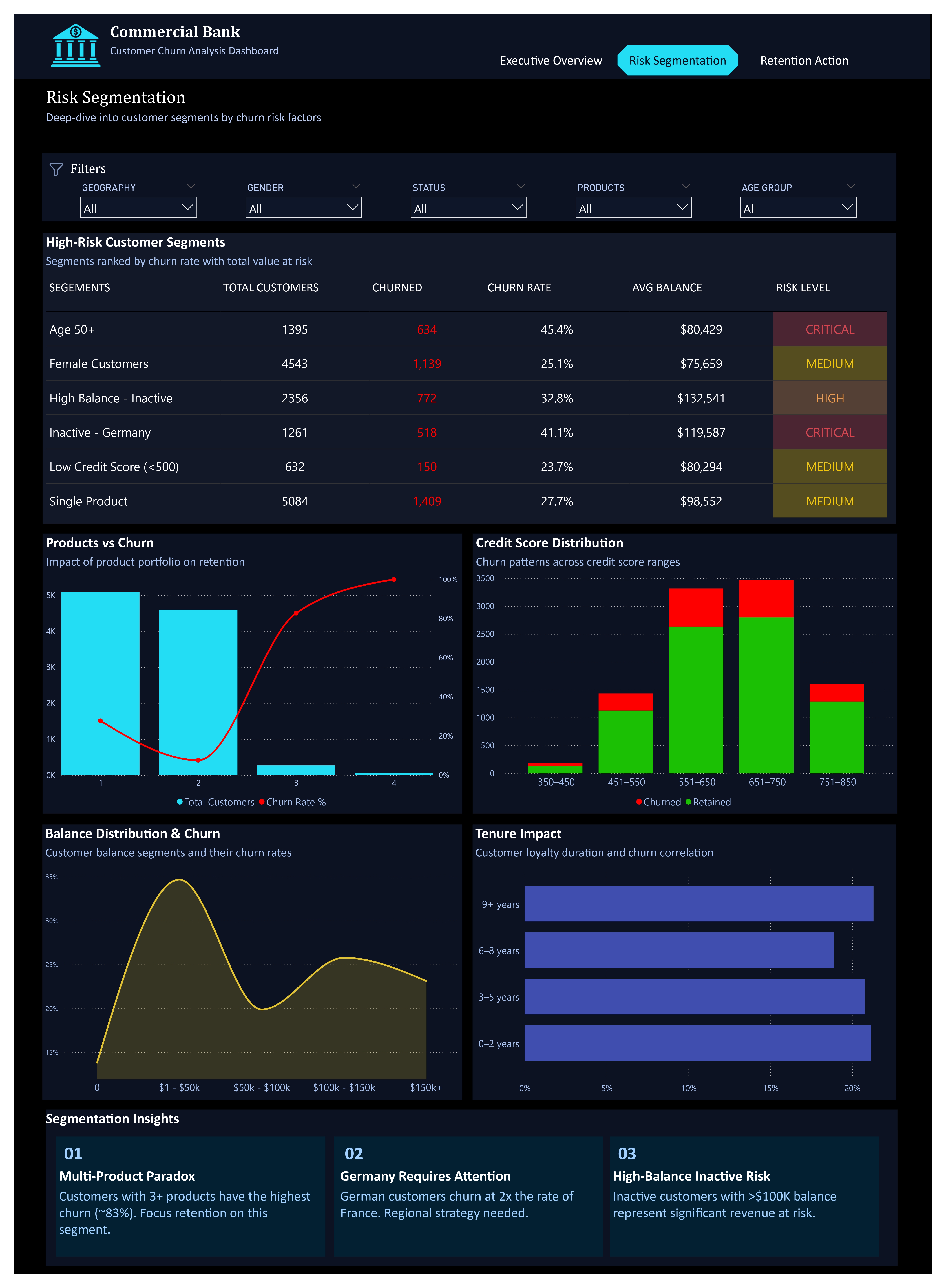 Risk Segemntation Dashboard